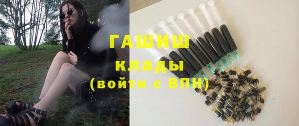 индика Новозыбков