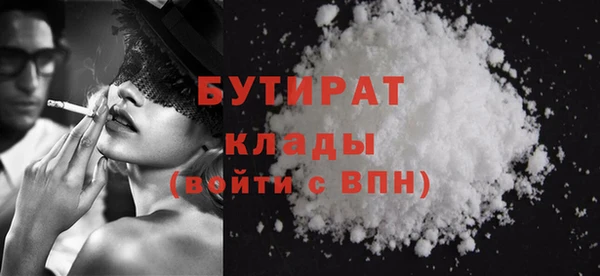 индика Новозыбков