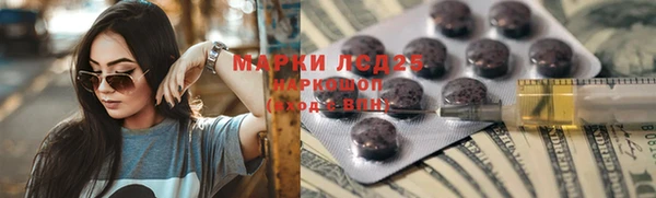 амф Новодвинск