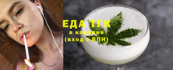 индика Новозыбков