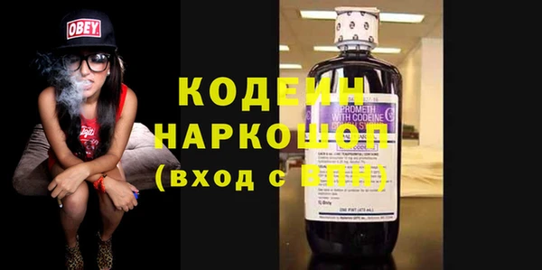 индика Новозыбков
