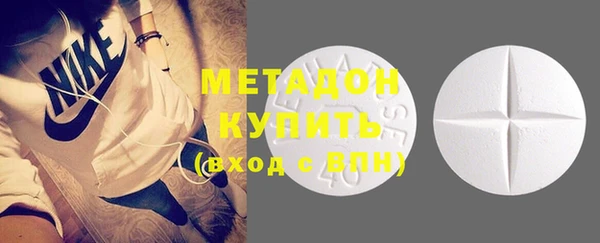 индика Новозыбков