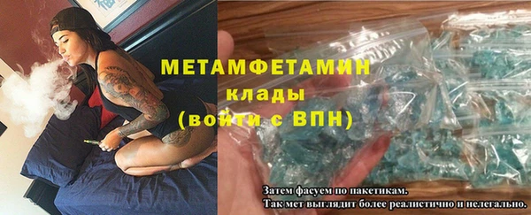 индика Новозыбков
