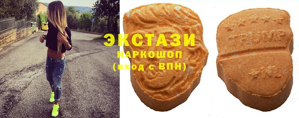 индика Новозыбков