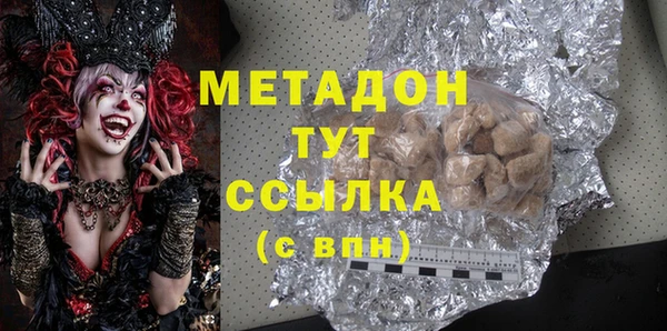 индика Новозыбков