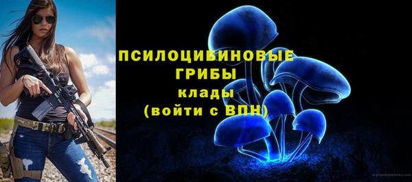 синтетический гашиш Нефтегорск